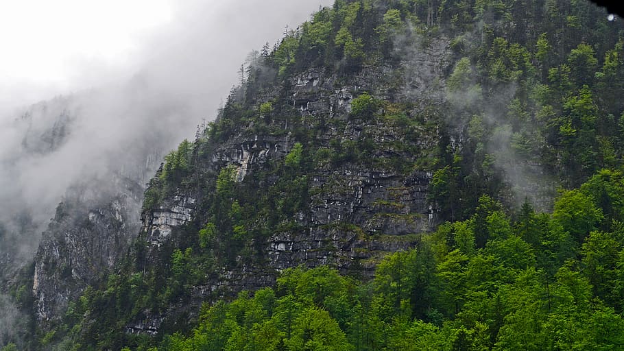 hallstatt, mountainside, after the rain, cloud, tree, fog, plant, HD wallpaper