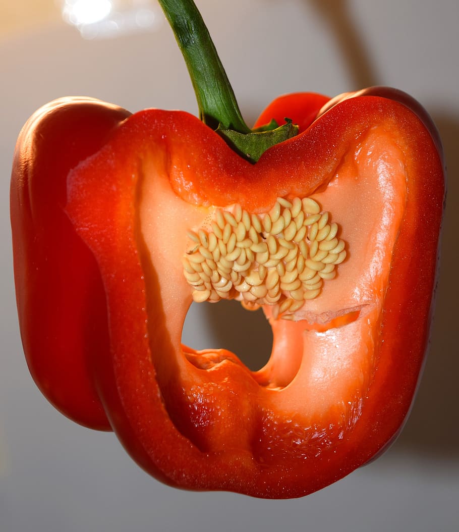 fruit, pepperoni, seeds, inner workings, food, vegetable, bell pepper HD wallpaper