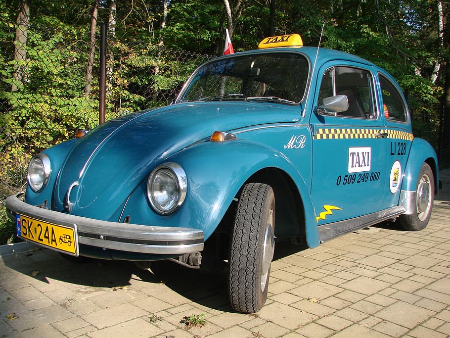 Vw, Beetle, Taxi, Car, blue, the beetle, retro, transportation HD wallpaper