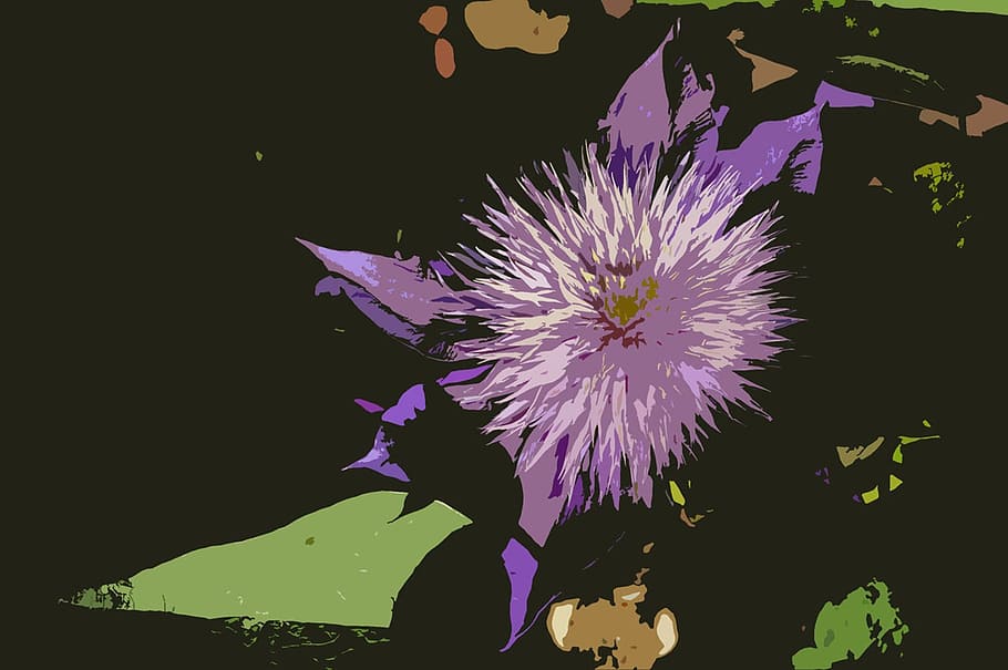 background, flower, clematis, black, green, purple, vector HD wallpaper