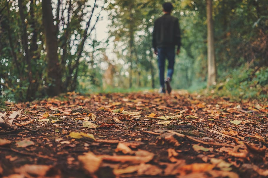 dried leaves on brown soil, autumn, fall, ground, man, outdoors HD wallpaper