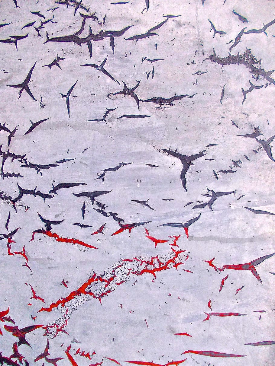 pattern, structure, facade, wall, birds, surrealism, red, blue HD wallpaper
