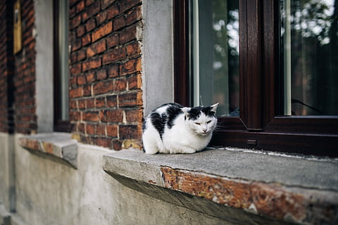 Old bricks buildings in Lodz, Poland, outdoor, architecture, town HD wallpaper