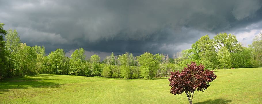 nature, storm, clouds, trees, beautiful, plant, cloud - sky HD wallpaper