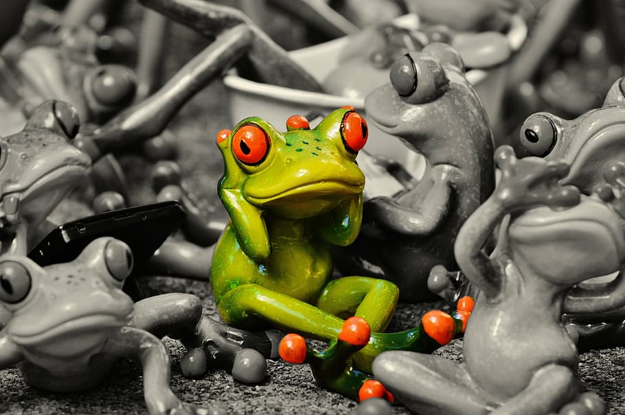 frogs, many, group, collection, cute, sweet, mass, funny, representation HD wallpaper