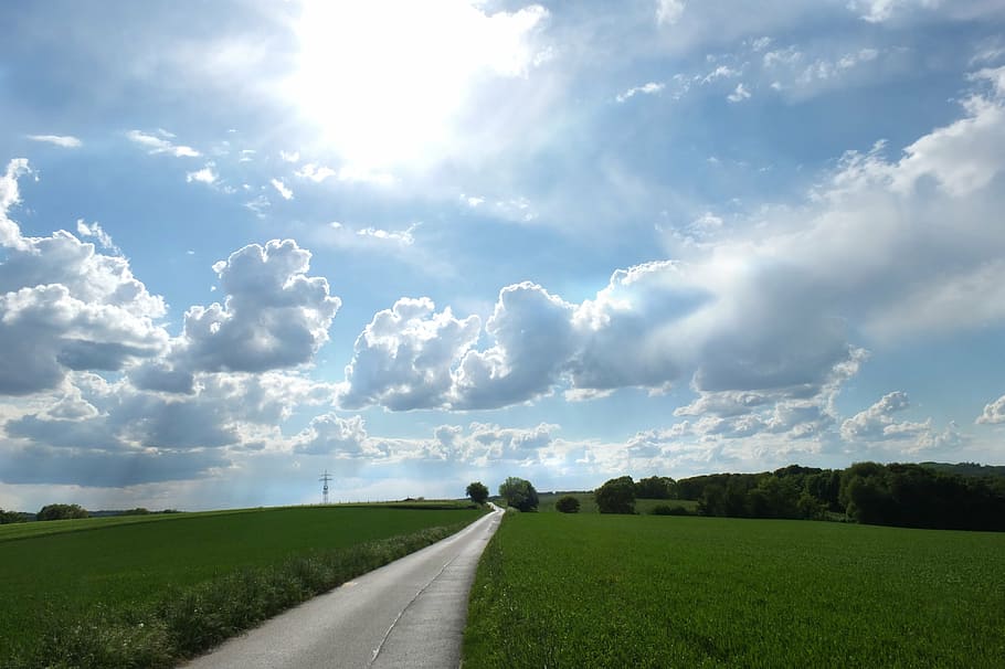 photo of pathway between green grass at daytime, landscape HD wallpaper