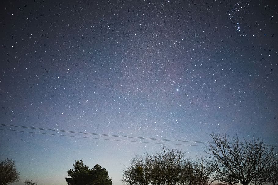 green trees under stars in sky during nighttime, silhouette of trees under nightsky HD wallpaper
