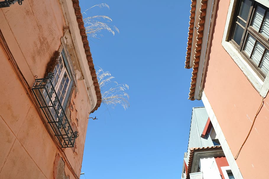 building, architecture, sky, the window, blue sky, building exterior HD wallpaper