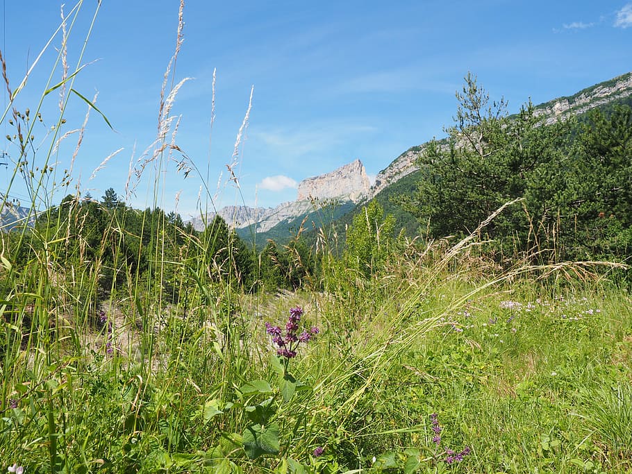 mont aiguille, mountain, massif, vercors, mountain range, dauphiné-alps, HD wallpaper