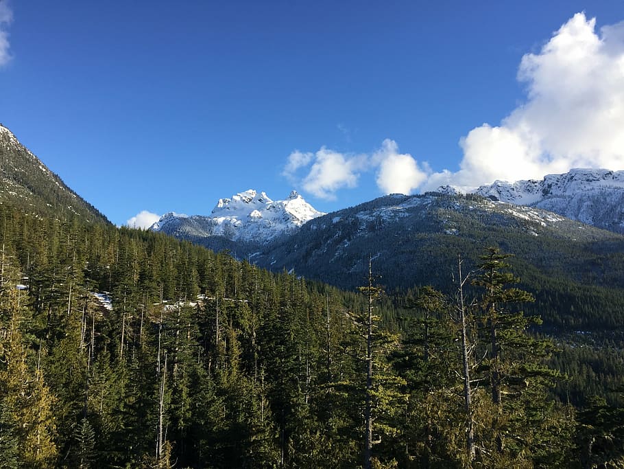 canada, mountains, landscape, forest, snow, evergreen trees HD wallpaper