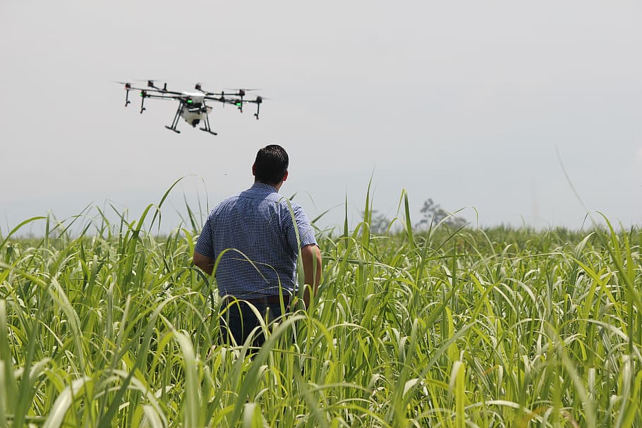man standing on green grass operating drone at daytime, precision agriculture