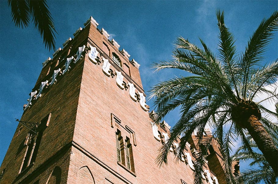 palm tree, building, architecture, building exterior, built structure HD wallpaper