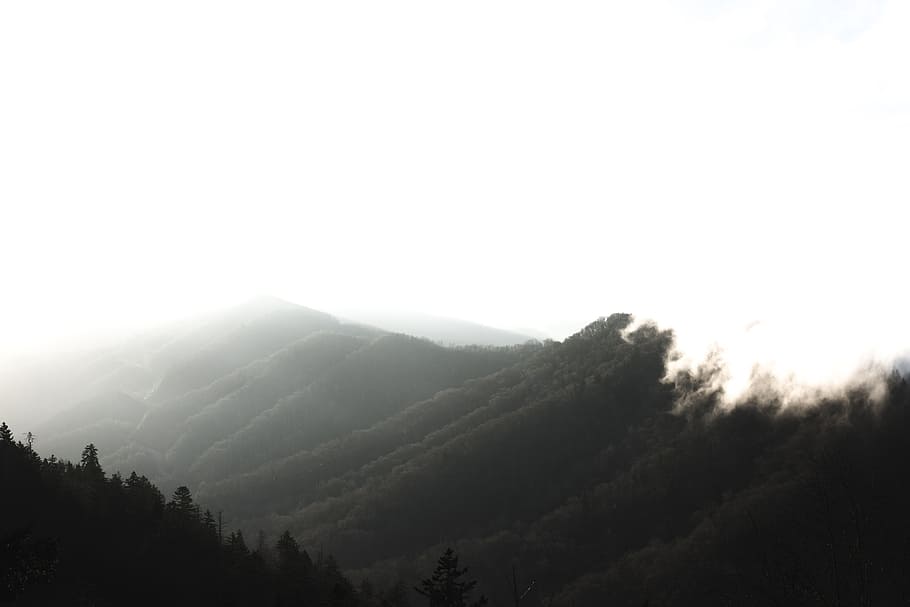 mountain, highland, cloud, sky, landscape, nature, valley, trees HD wallpaper