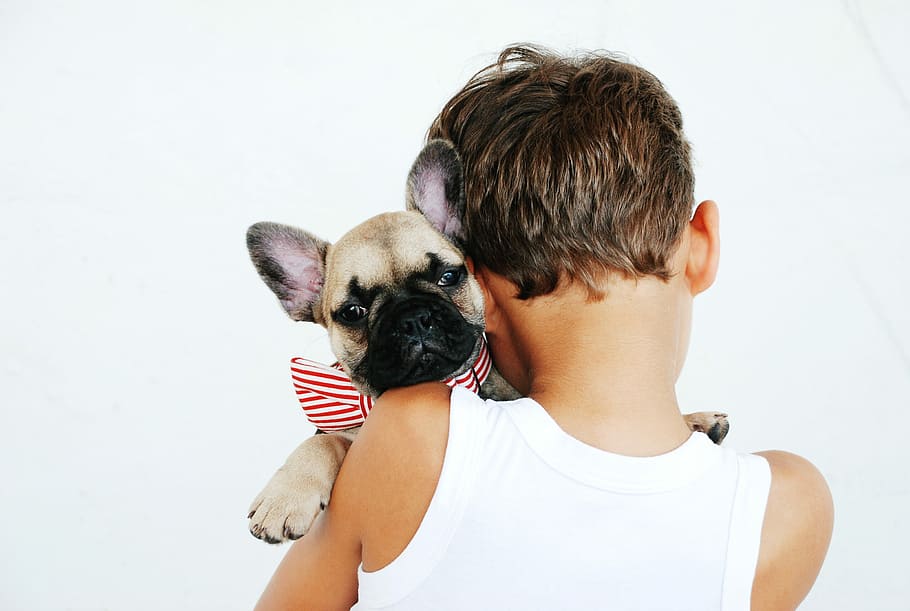 boy hugging fawn pug puppy, boy wearing white tank top carrying short-coated tan puppy with red and white striped collar