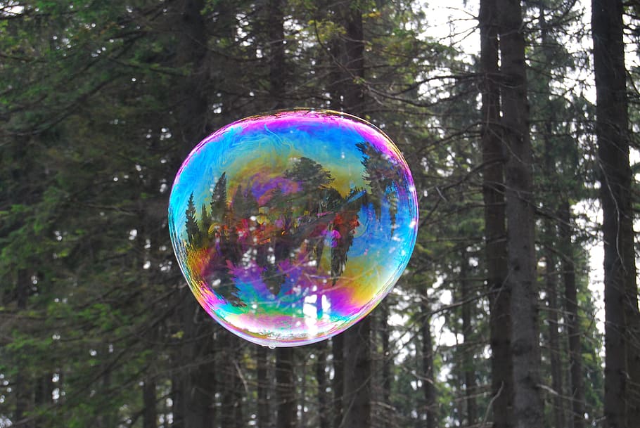 Bubble, Forest, Lightness, insignificance, air, nature, outdoors HD wallpaper