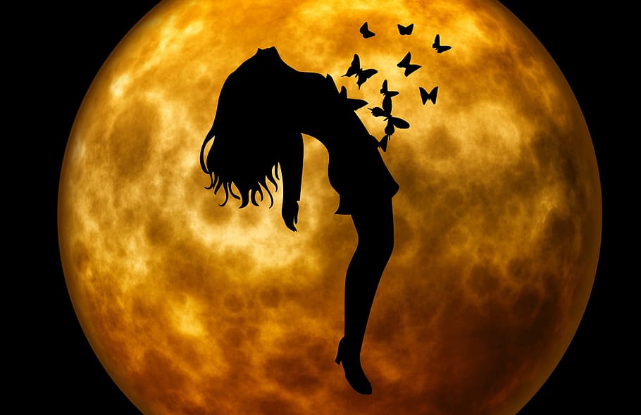 silhouette of woman and butterflies in front of moon, evening, HD wallpaper