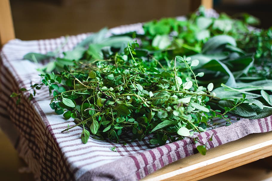 Different kinds of fresh herbs, healthy, food, freshness, vegetable HD wallpaper