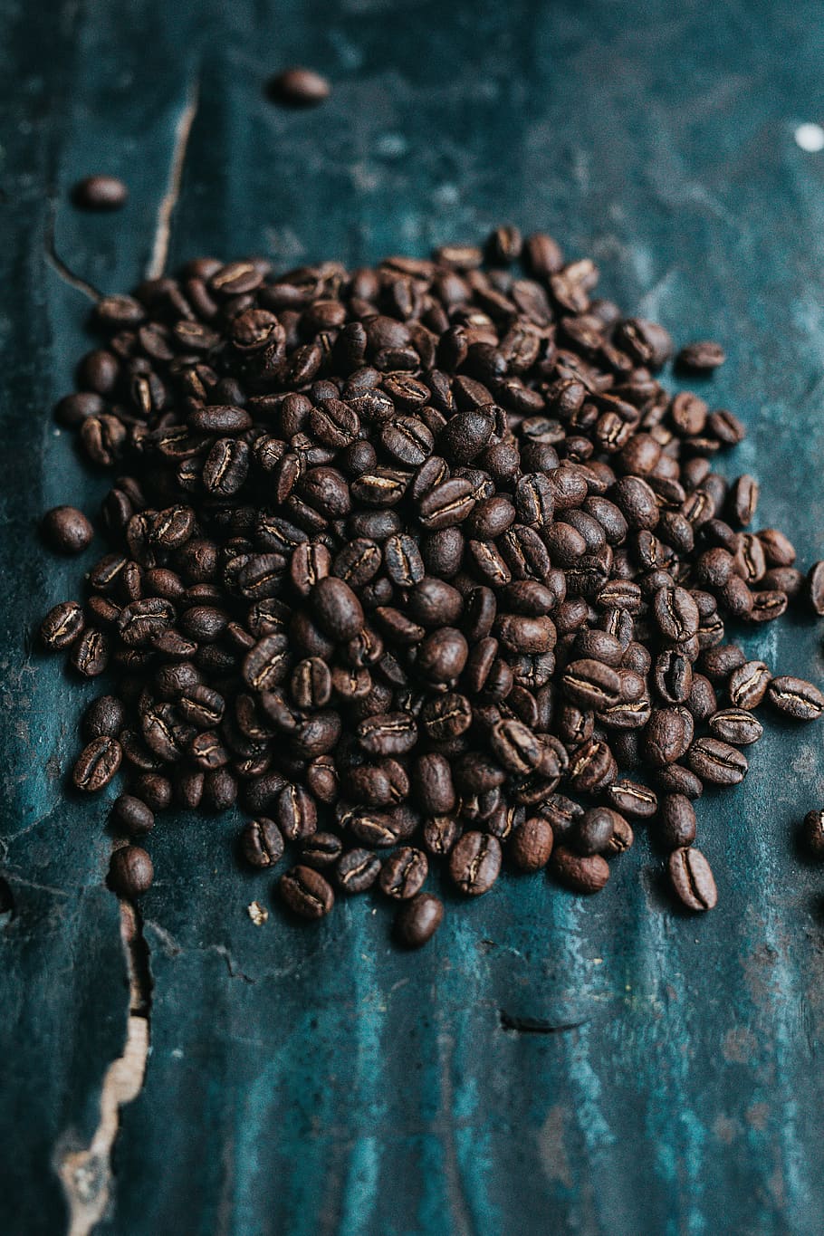 selective-focus photography of coffee beans, brown coffee beans HD wallpaper