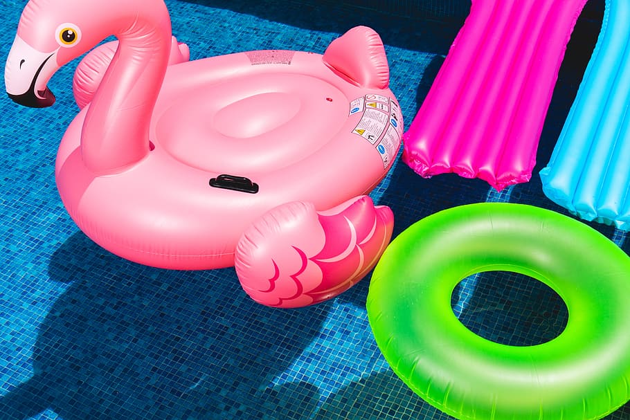 pink inflatable flamingo floating on pool, water, animal, fun, HD wallpaper