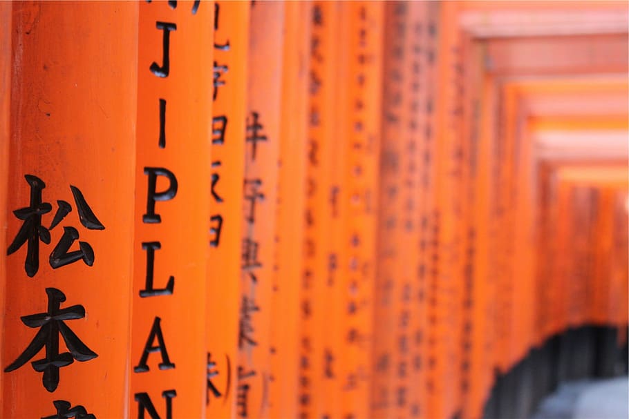 asian, writing, orange, religion, non-western script, orange color HD wallpaper