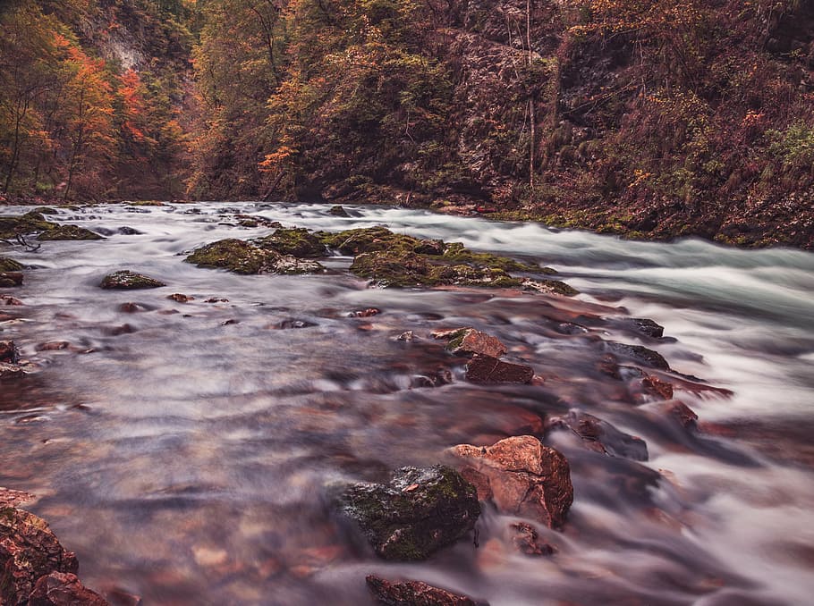 time-lapse photography of river streaming, trees, motion, water HD wallpaper