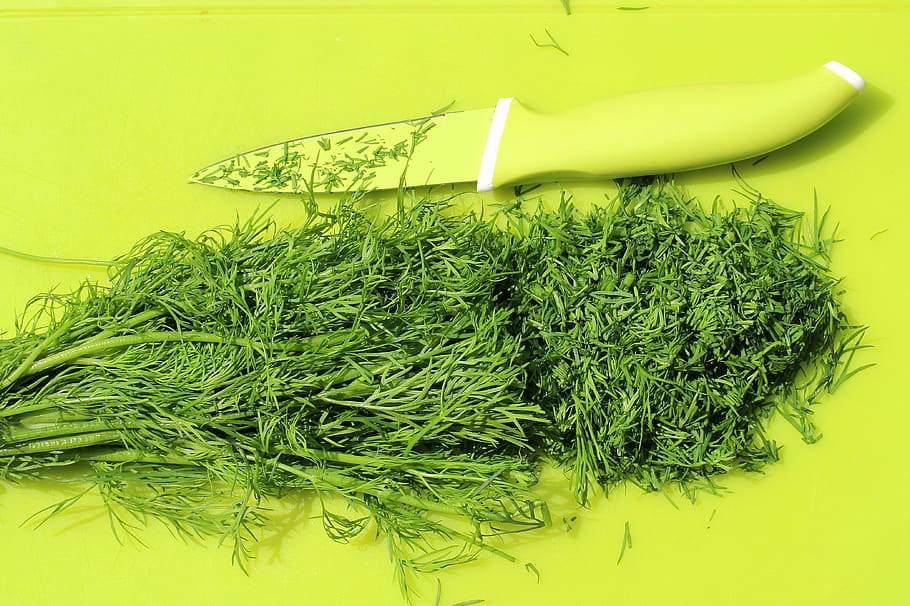 vegetables beside knife, dill, spice, green, kitchen, spices HD wallpaper