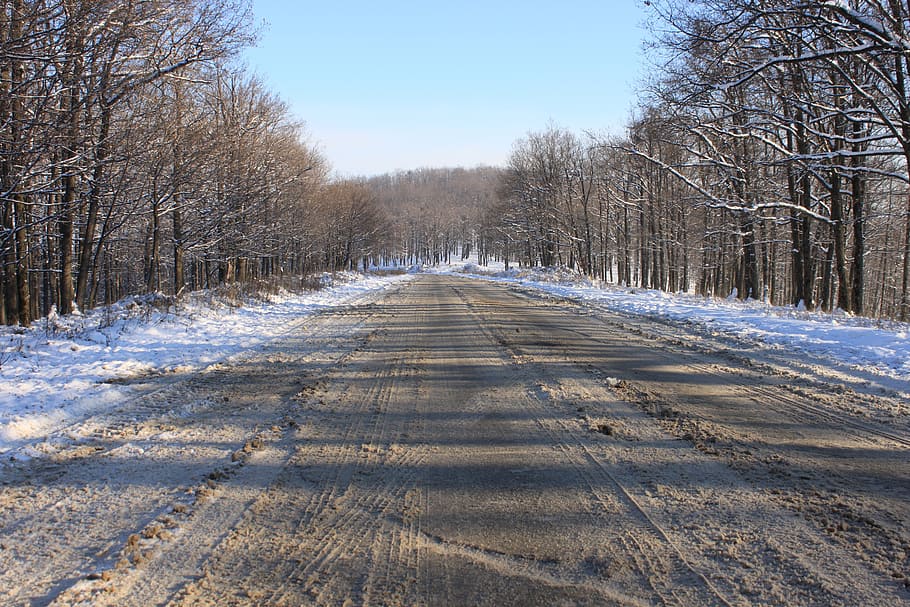 cold, forest, road, snow, snowy, trees, white, winter, wood HD wallpaper