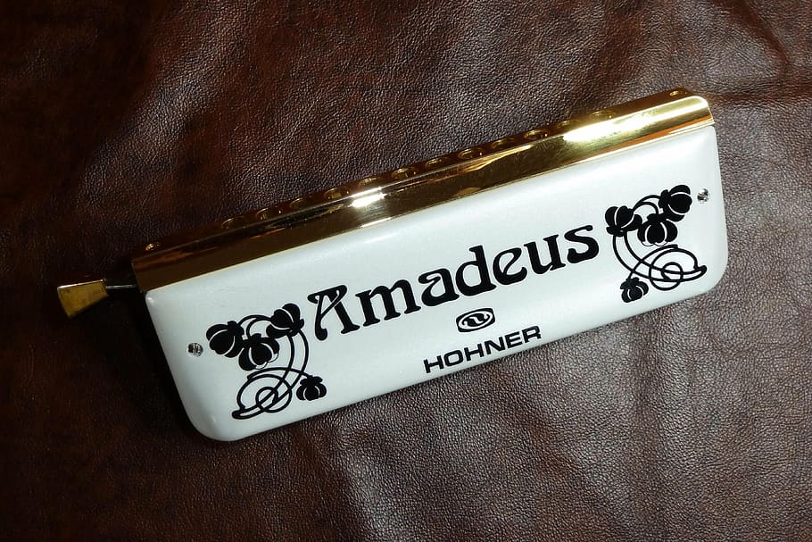 harmonica, white, amadeus, standing, text, no people, western script HD wallpaper