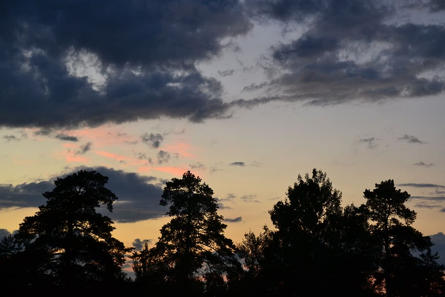 finnish, clouds, dark clouds, sky, the dramatic, wood, silhouette HD wallpaper
