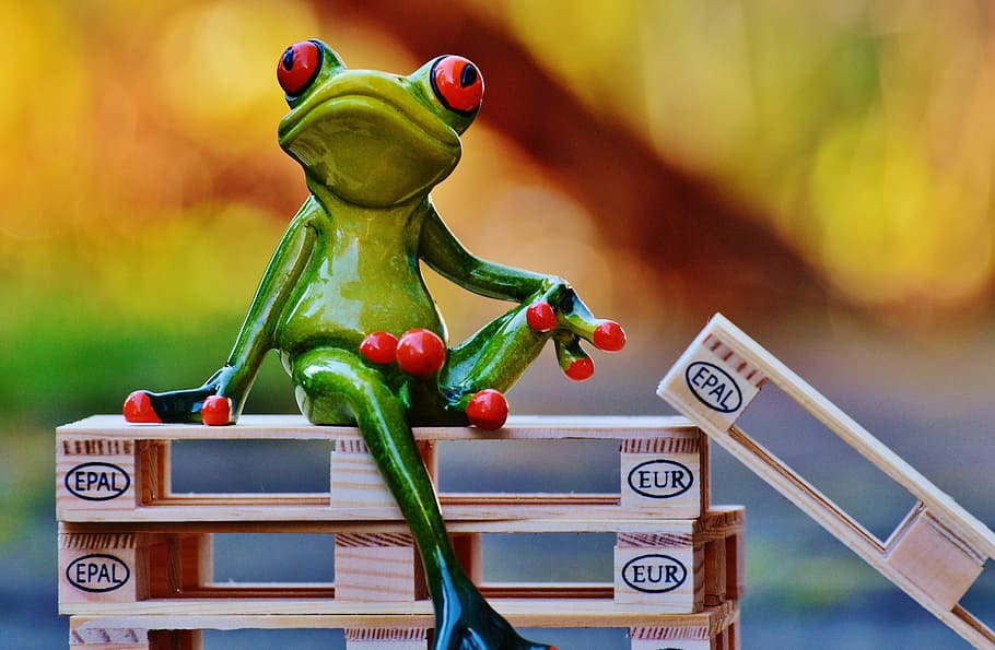 Frog, Euro, Pallets, Sit, euro pallets, funny, cute, sweet HD wallpaper