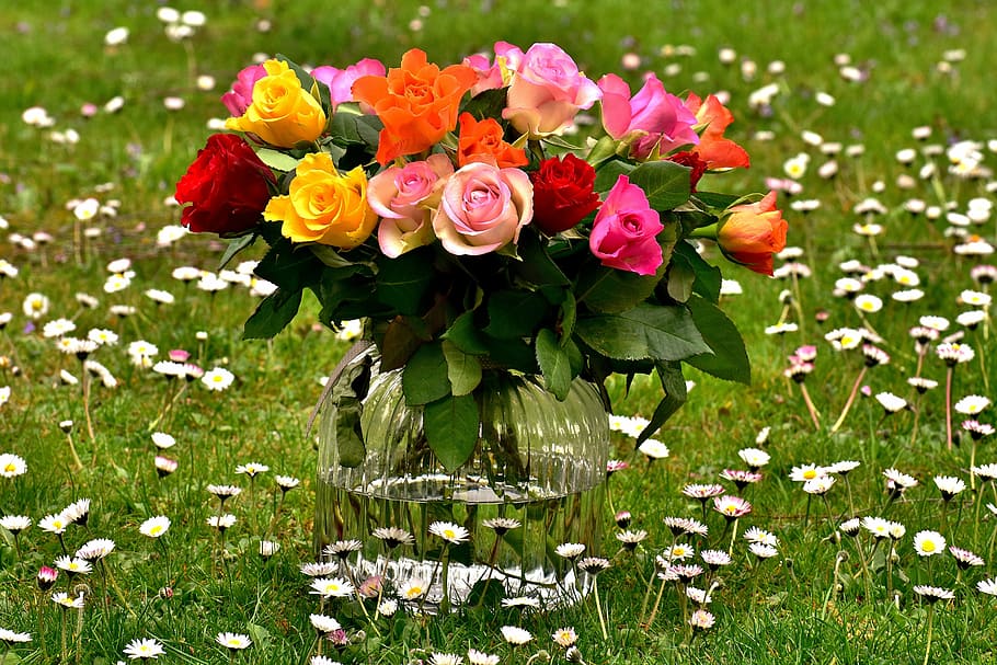 multicolored flowers in a clear glass vase, roses, bouquet, colorful