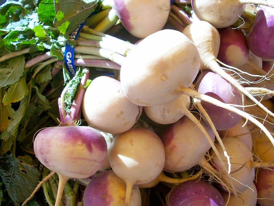 pile of vegetables, turnips, root, healthy, fresh, vegetarian HD wallpaper