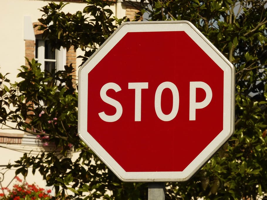 red and white stop signage, panel, traffic, road, road sign, indication, HD wallpaper