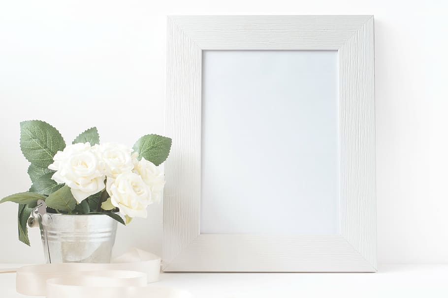 photo frame beside potted white flower, picture, canvas, card