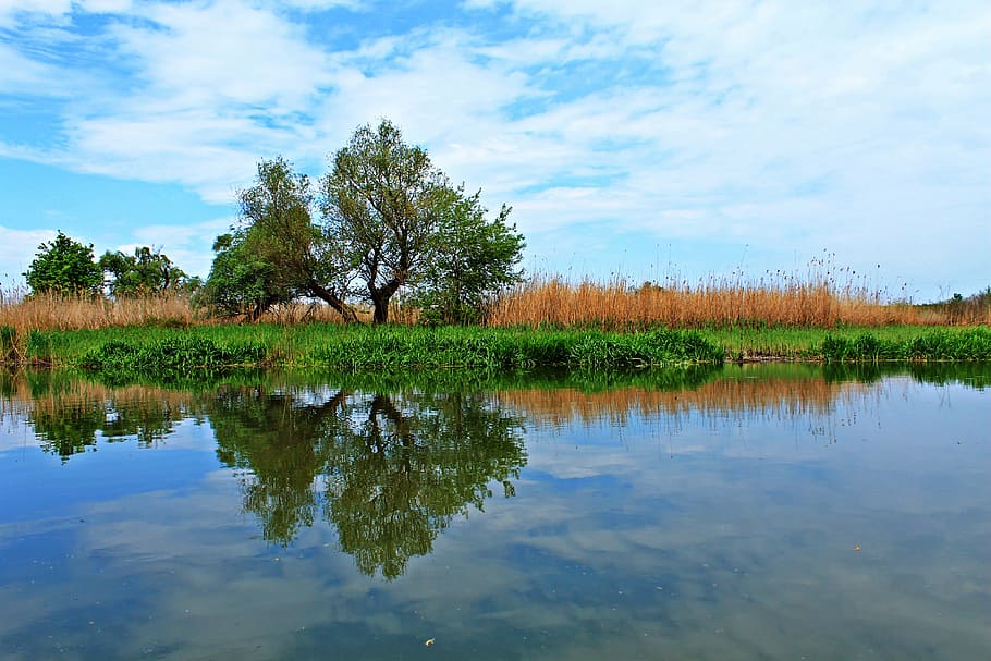 reflection, nature, calm, natural, natural beauty, landscape HD wallpaper
