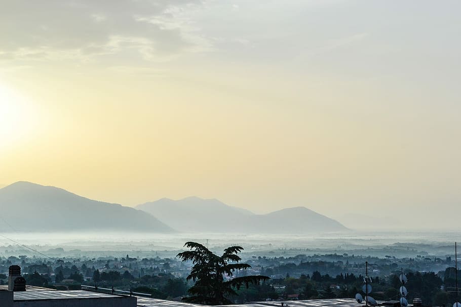 Landscape, View, Mist, Mountains, far, sunlight, palm trees HD wallpaper