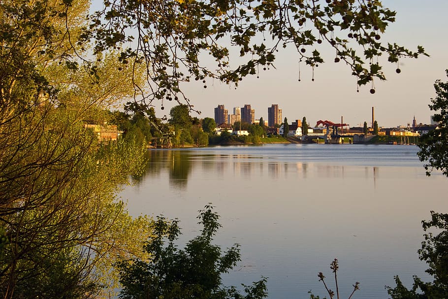 mannheim, rhine, panorama, tree, reflection, building exterior HD wallpaper