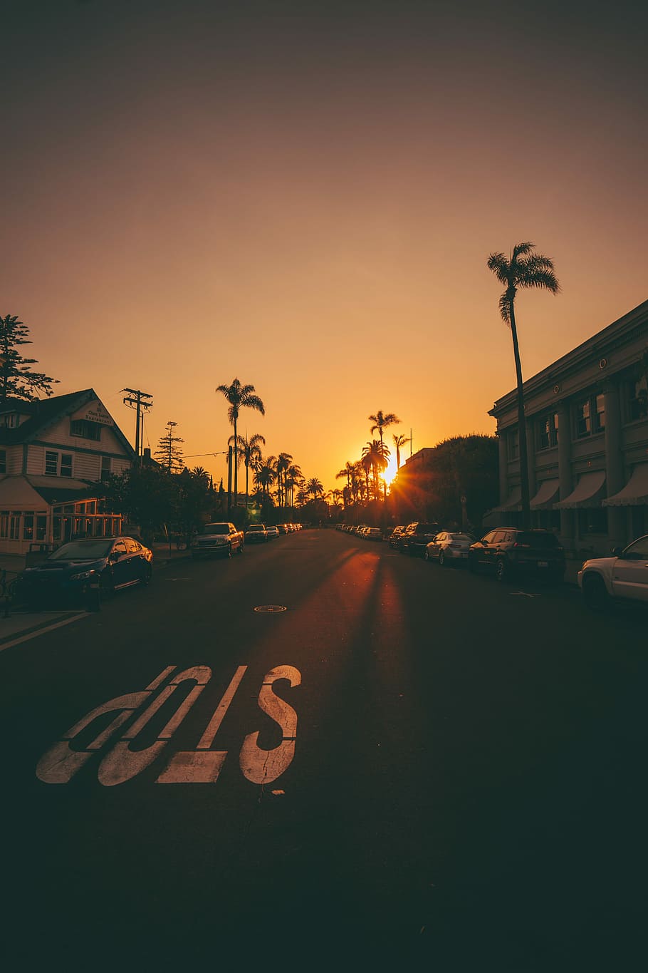 sunset over the horizon, white and brown houses during sunset HD wallpaper