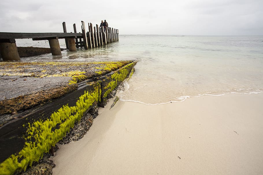 ocean, pier, water, beach, sea, land, sky, sand, nature, beauty in nature HD wallpaper