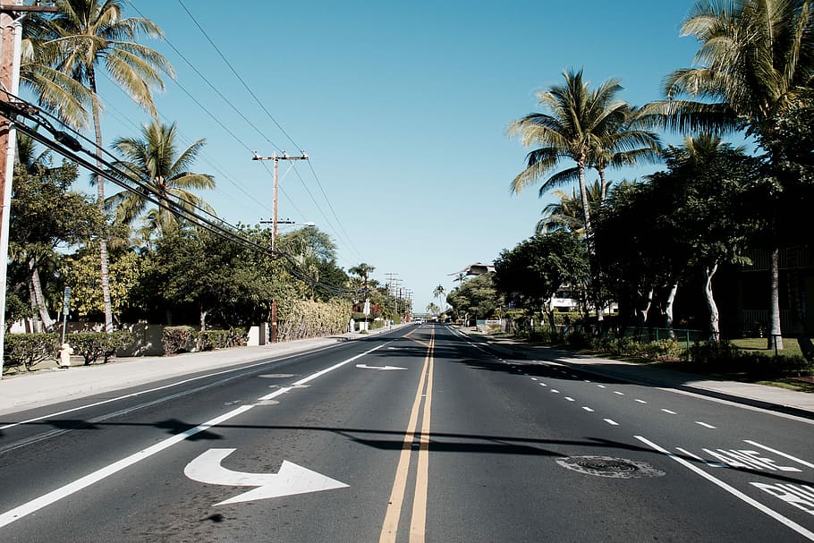 black road during daytime, photo of concrete road beside palm tree HD wallpaper