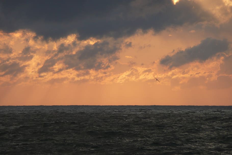 sunset, sea, horizon, sky, horizon over water, cloud - sky HD wallpaper