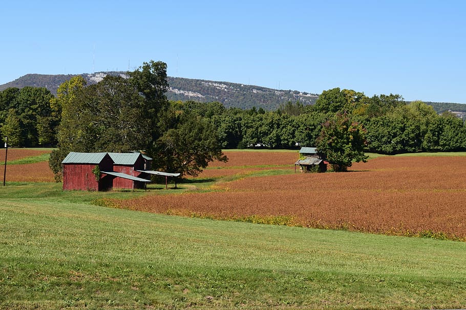red, barns, clay, fields, landscape, countryside, plant, tree HD wallpaper