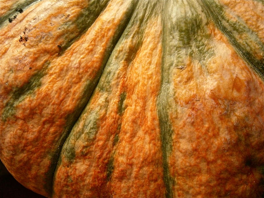 fruit, pumpkin, vegetable, autumn, nature, food and drink, full frame HD wallpaper