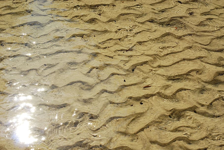 water, splash, sun, liquid, transparent, clear, purity, ripple HD wallpaper