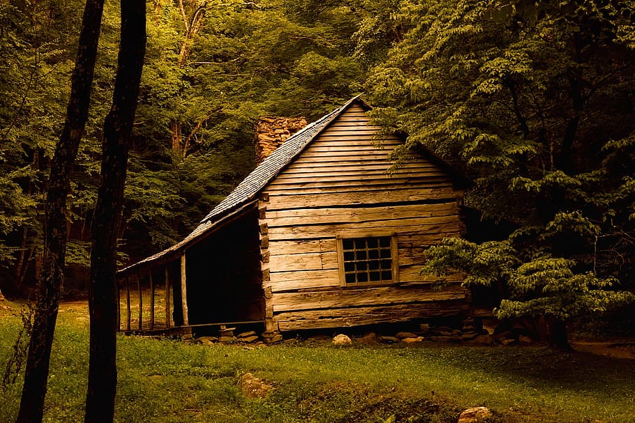 shallow focus photography of brown cabin house, log cabin, landscape, HD wallpaper