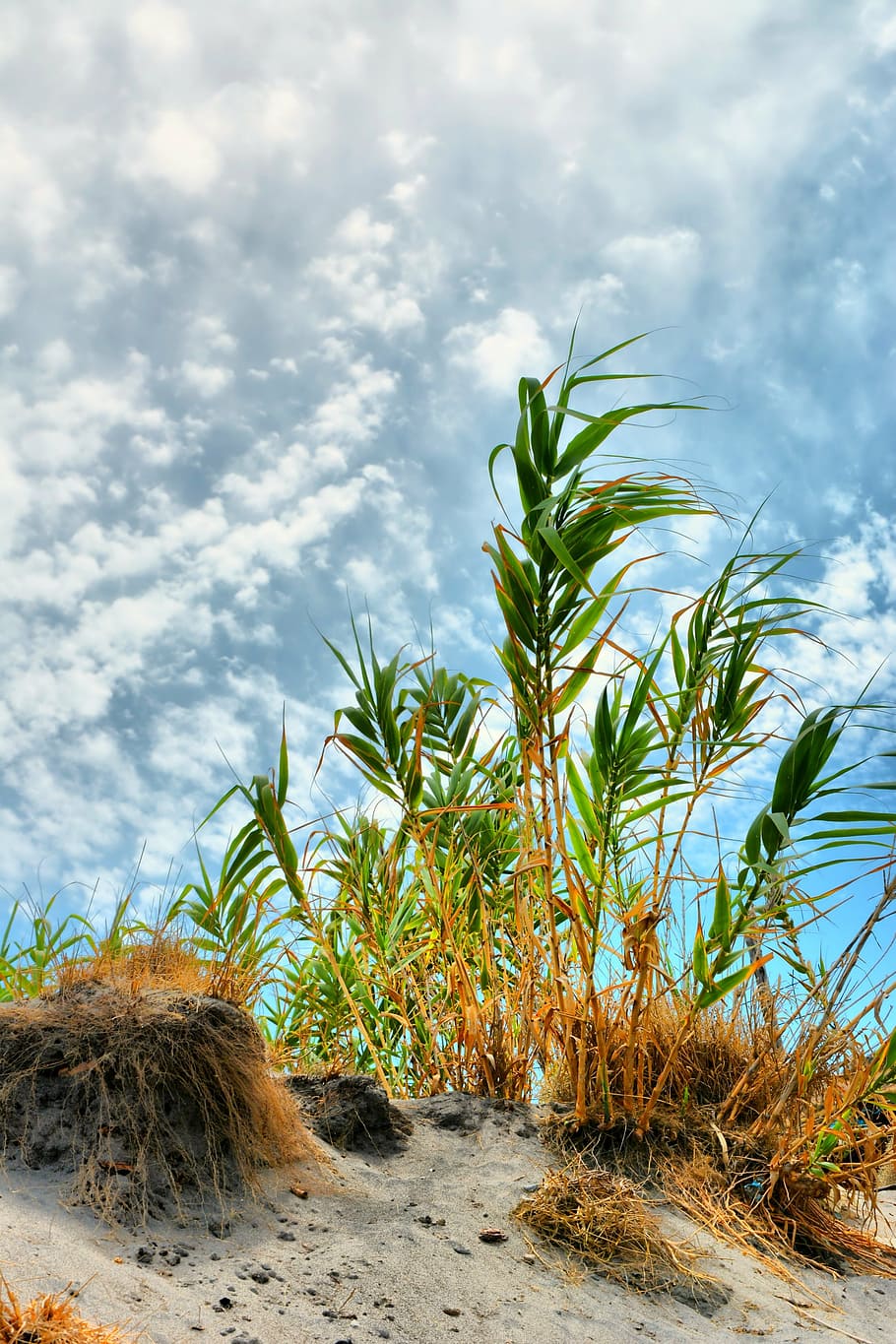 beach, summer, clouds, travel, tropical, holiday, coast, sunny HD wallpaper