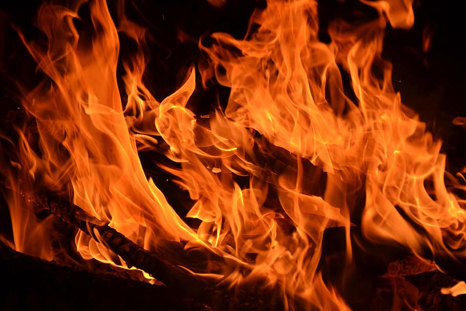 flame, fire, flame log fire, burn, campfire, hot, wood, heat HD wallpaper