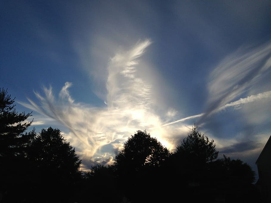 Clouds, Pattern, Trees, sky, blue, nature, light, sunlight HD wallpaper