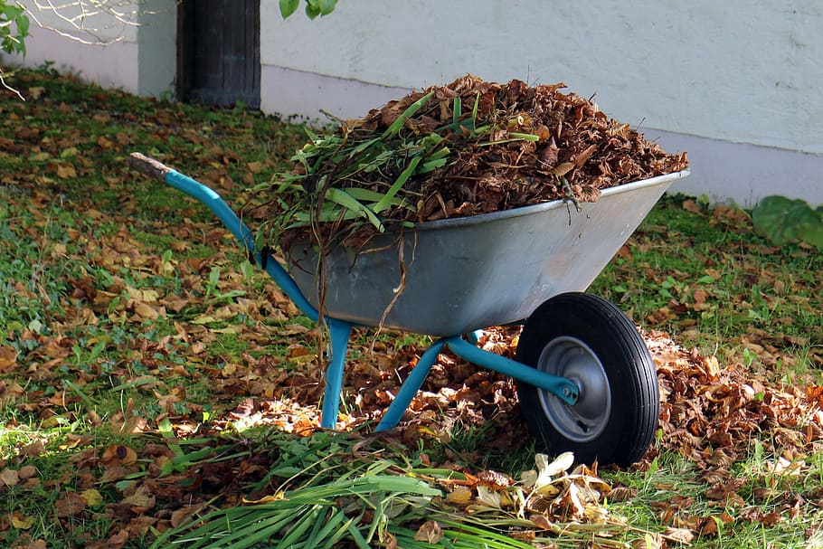 gray wheelbarrow filled with grass, autumn, wheelbarrows, garden, HD wallpaper