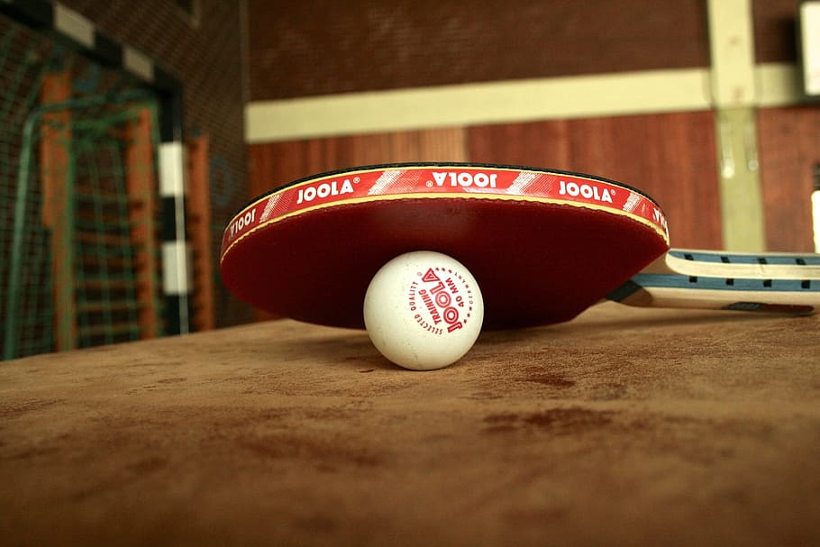 white ping pong ball on top of paddle, table tennis, ping-pong